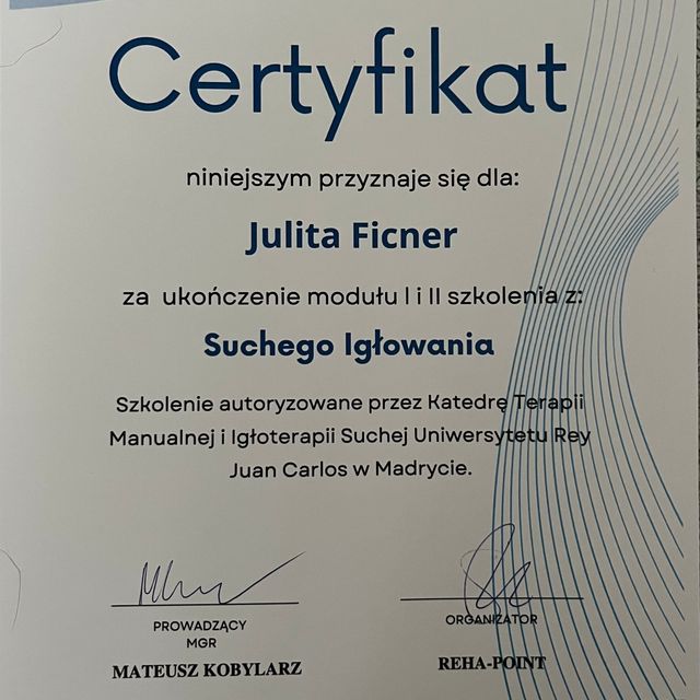 Powiększ obraz: certificate 1