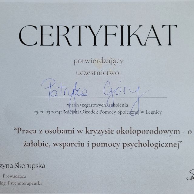 Powiększ obraz: certificate 2