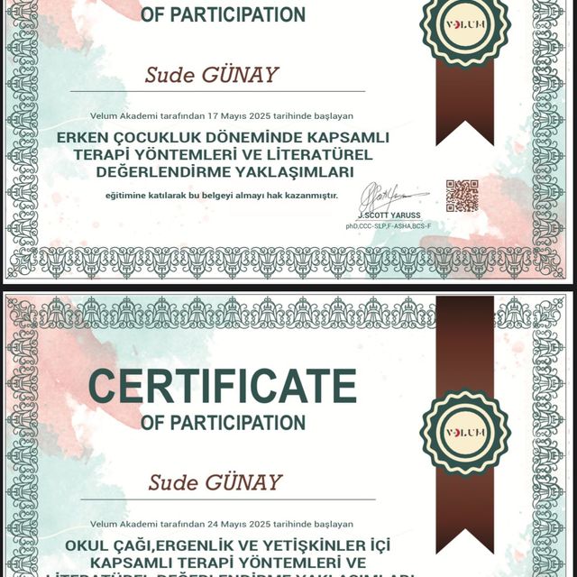 Resmi büyüt: certificate 2