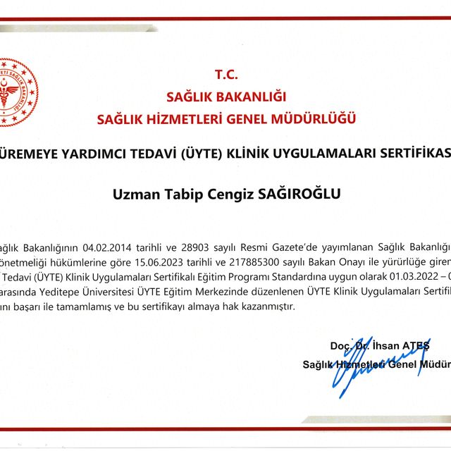 Resmi büyüt: certificate 2