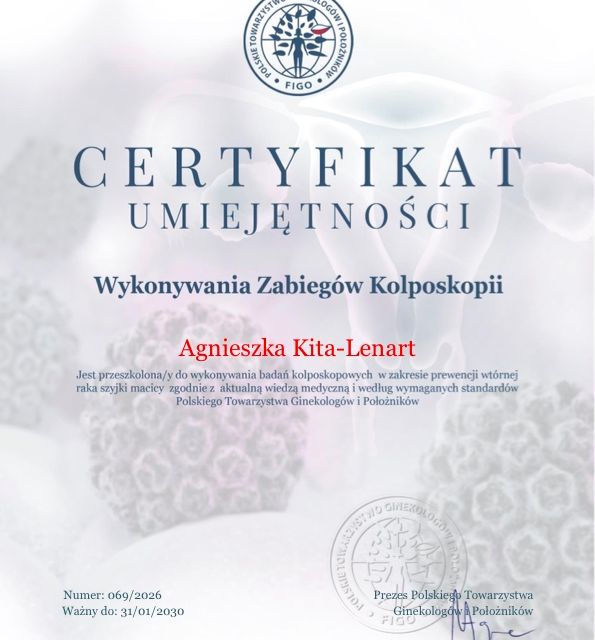 Powiększ obraz: certificate 1