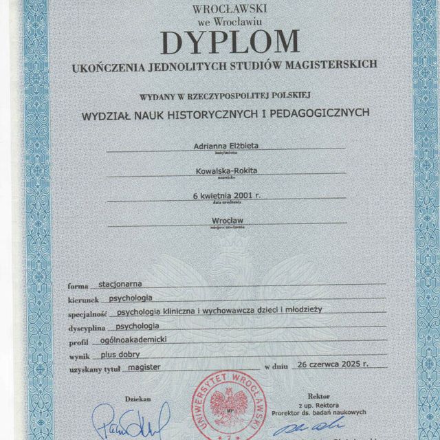 Powiększ obraz: certificate 1