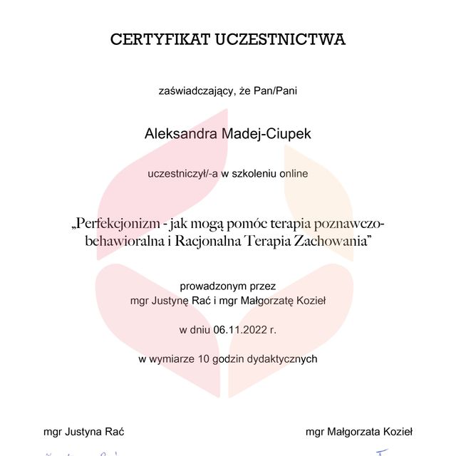 Powiększ obraz: certificate 11