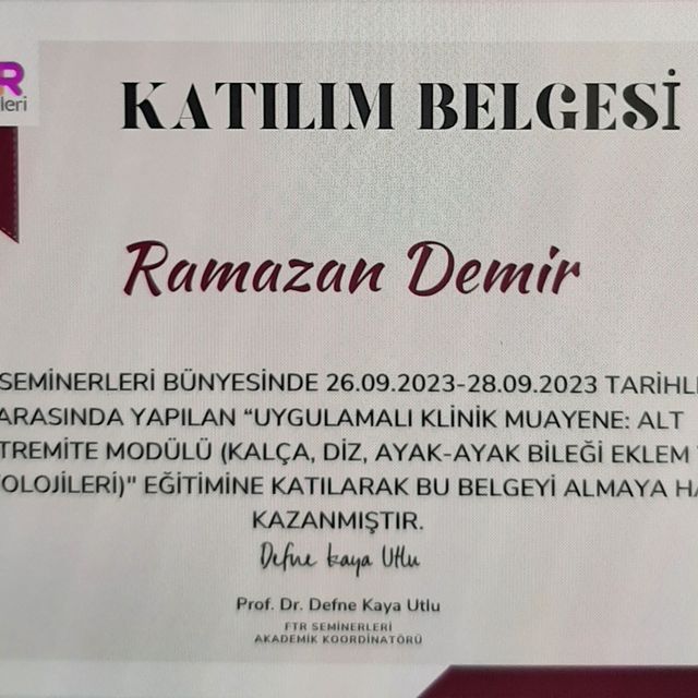 Resmi büyüt: certificate 26