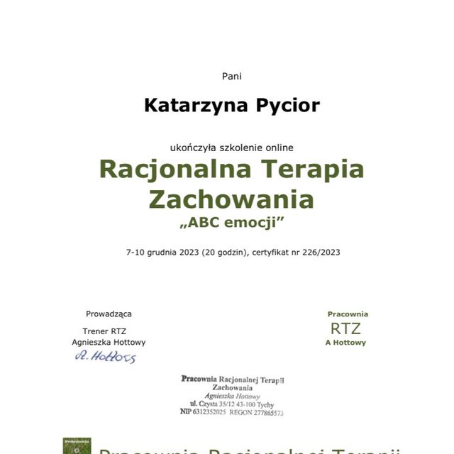 Powiększ obraz: certificate 2