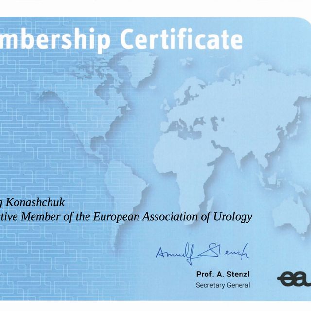 Powiększ obraz: certificate 1