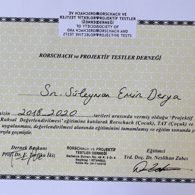 Resmi büyüt: certificate 6