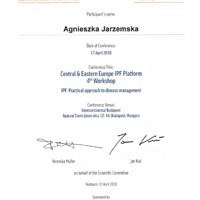 Powiększ obraz: certificate 11