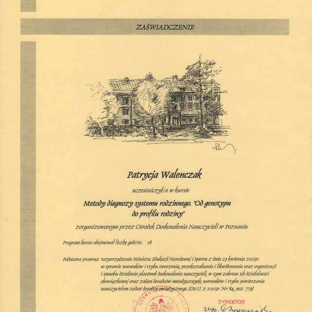 Powiększ obraz: certificate 6
