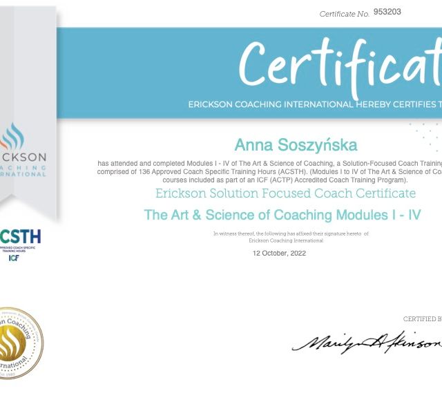 Powiększ obraz: certificate 3