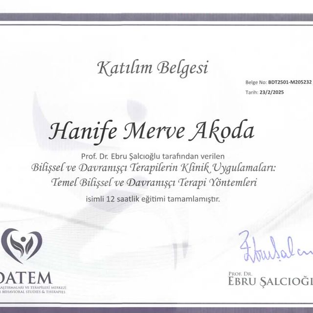 Resmi büyüt: certificate 20