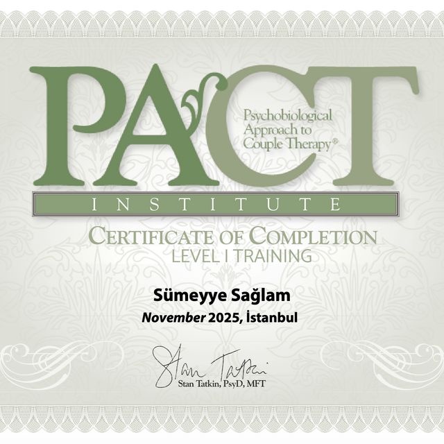 Resmi büyüt: certificate 3