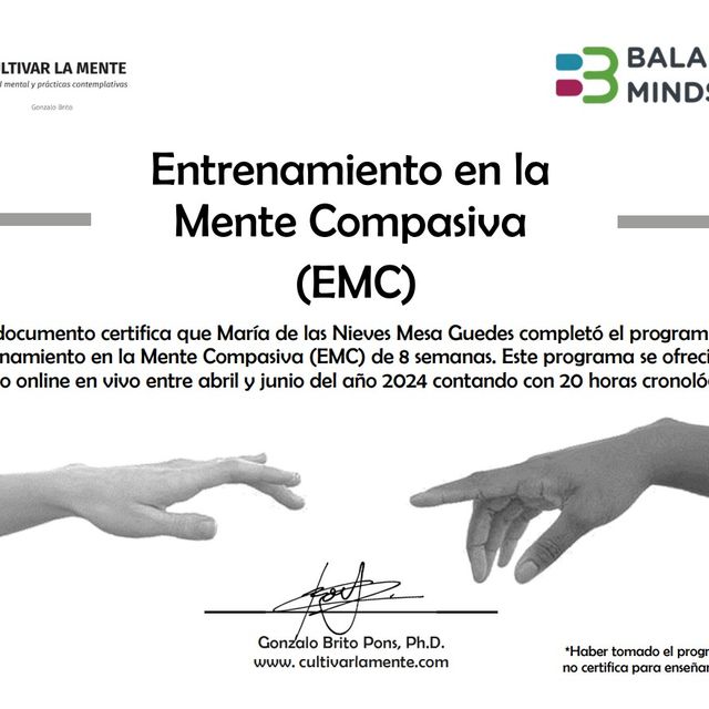 Acercar imagen: certificate 8
