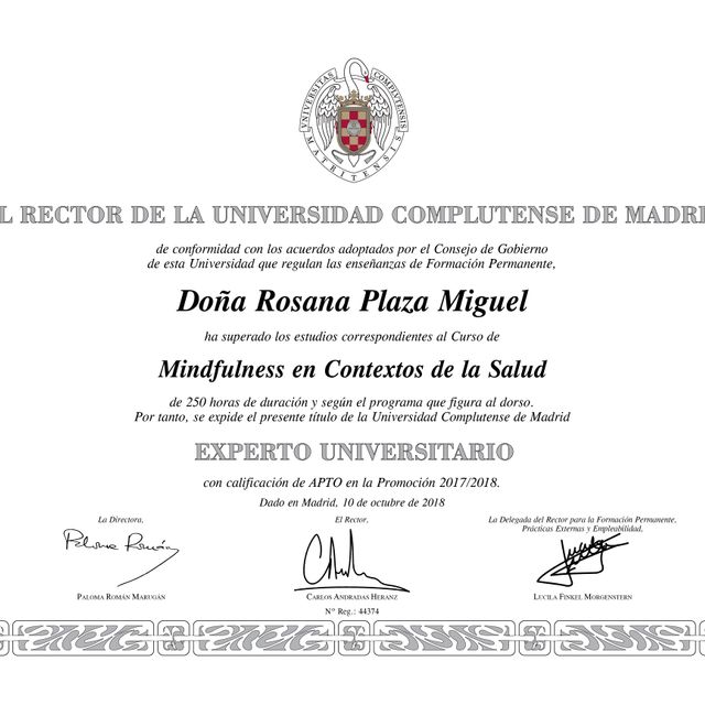 Acercar imagen: certificate 9