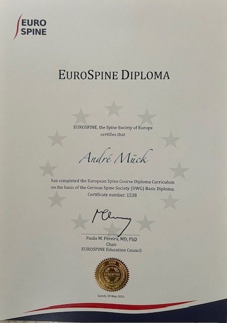 Bild vergrößern: certificate 3