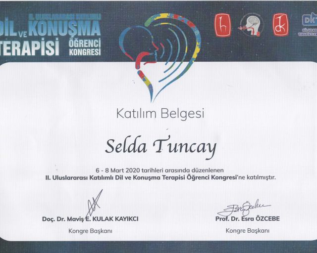 Resmi büyüt: certificate 19