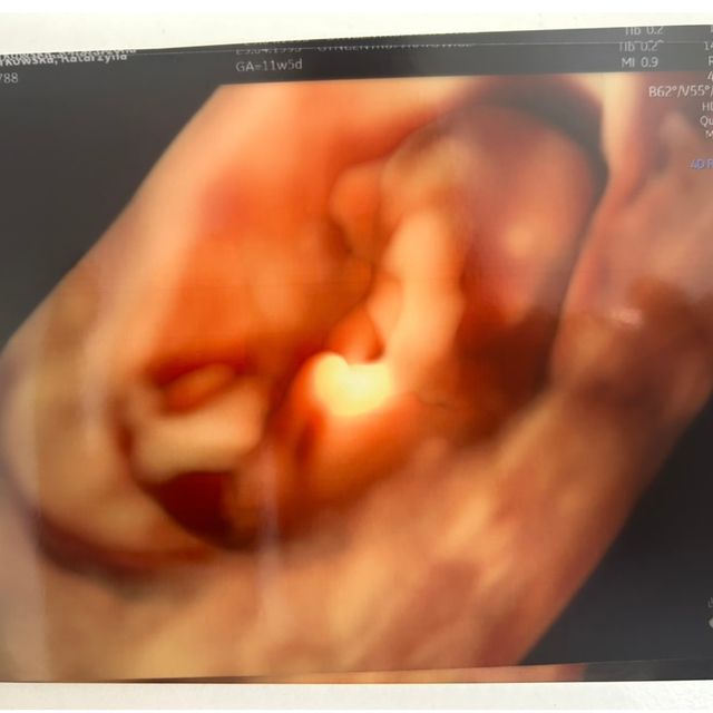 Powiększ obraz: certificate 64