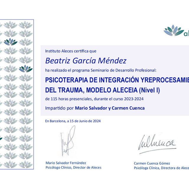 Acercar imagen: certificate 3