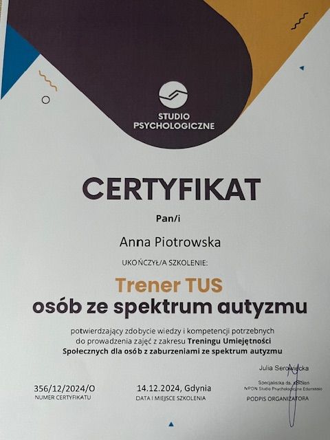 Powiększ obraz: certificate 3