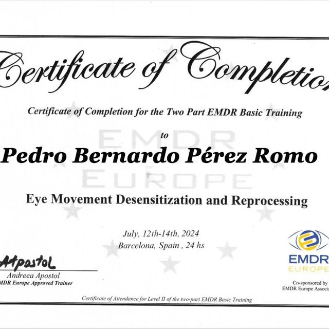 Acercar imagen: certificate 28