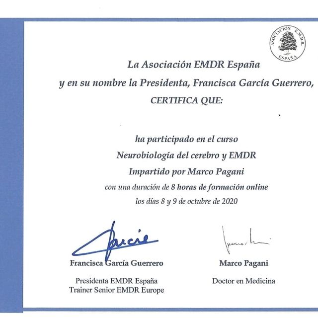 Acercar imagen: certificate 11