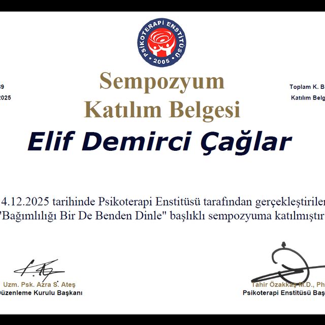 Resmi büyüt: certificate 13
