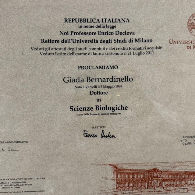 Ingrandire l'immagine: certificate 1