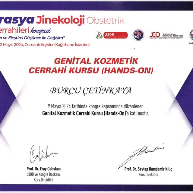 Resmi büyüt: certificate 31