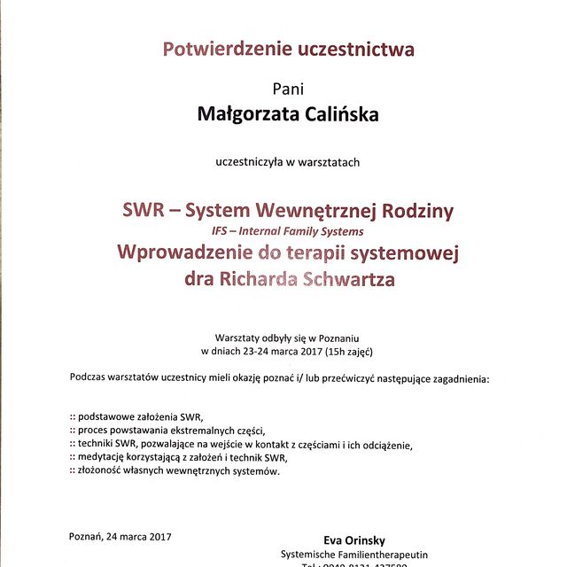 Powiększ obraz: certificate 7