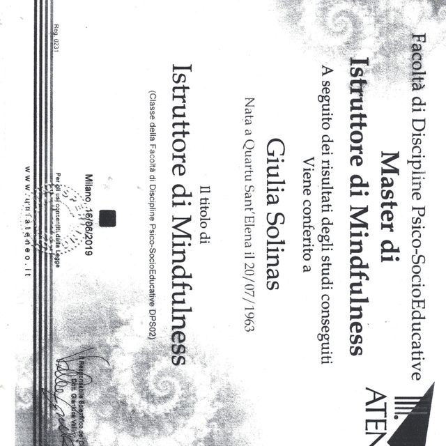 Ingrandire l'immagine: certificate 6