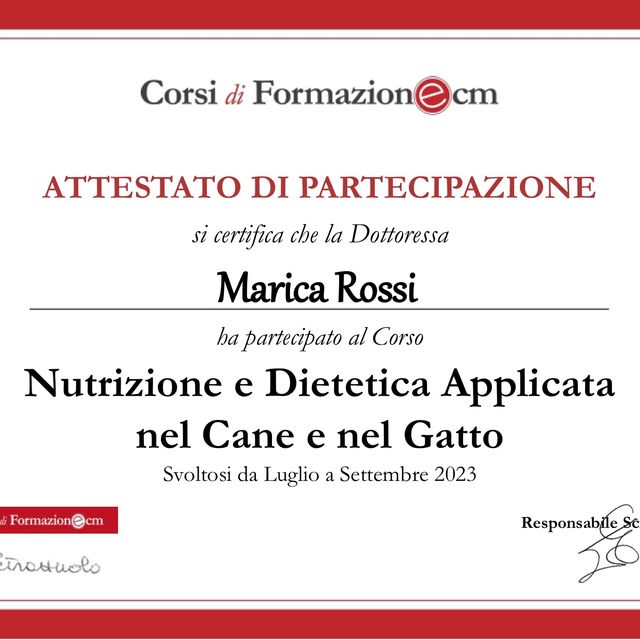 Ingrandire l'immagine: certificate 3
