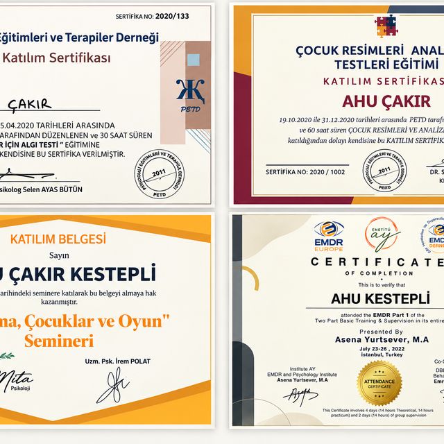 Resmi büyüt: certificate 2