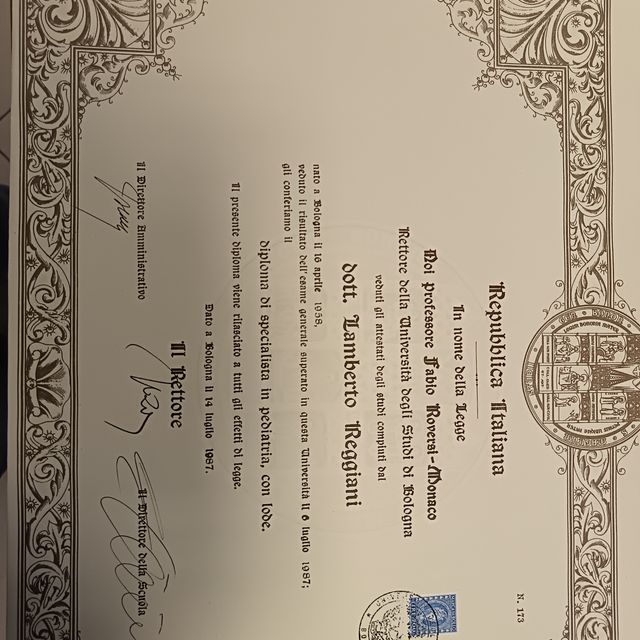 Ingrandire l'immagine: certificate 4