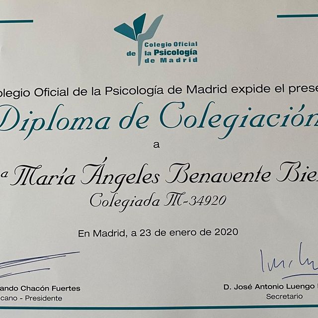 Acercar imagen: certificate 2