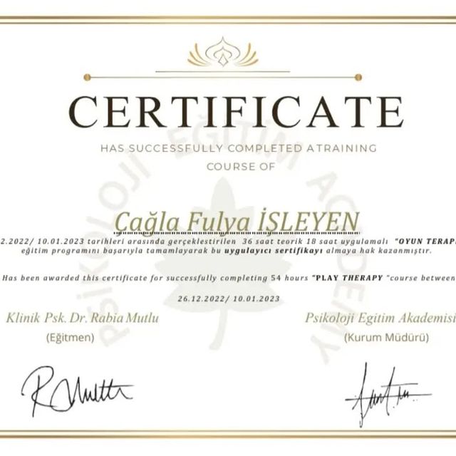 Resmi büyüt: certificate 36