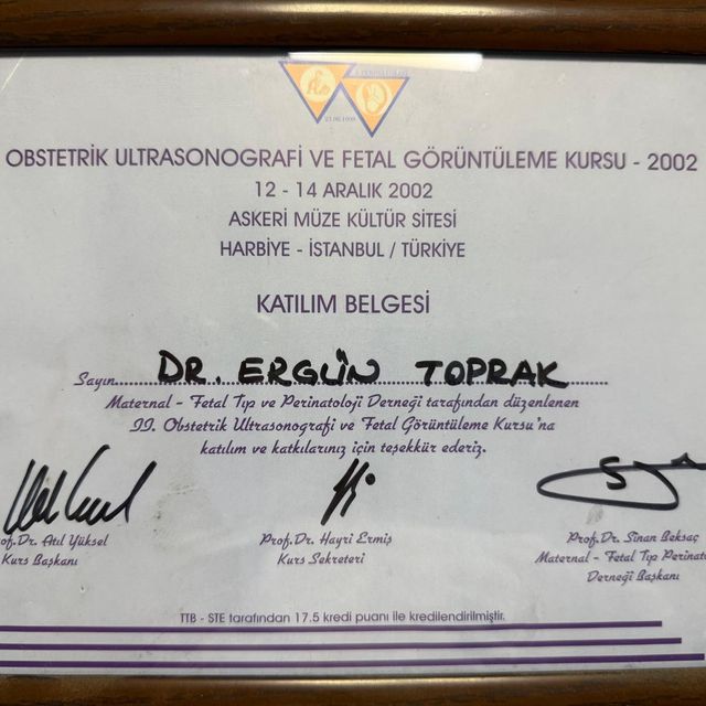 Resmi büyüt: certificate 2