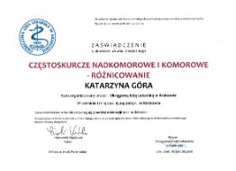 Powiększ obraz: certificate 2