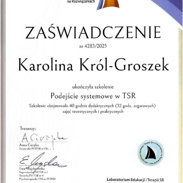 Powiększ obraz: certificate 3