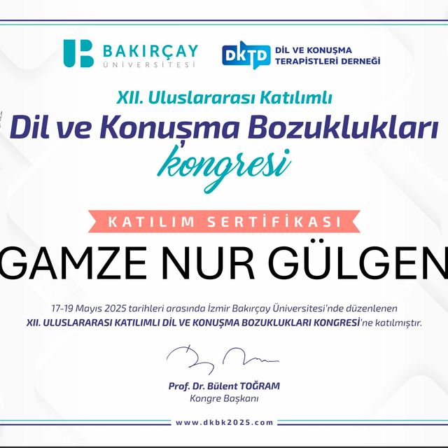 Resmi büyüt: certificate 3
