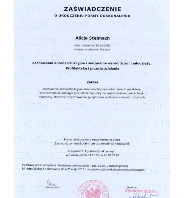Powiększ obraz: certificate 3