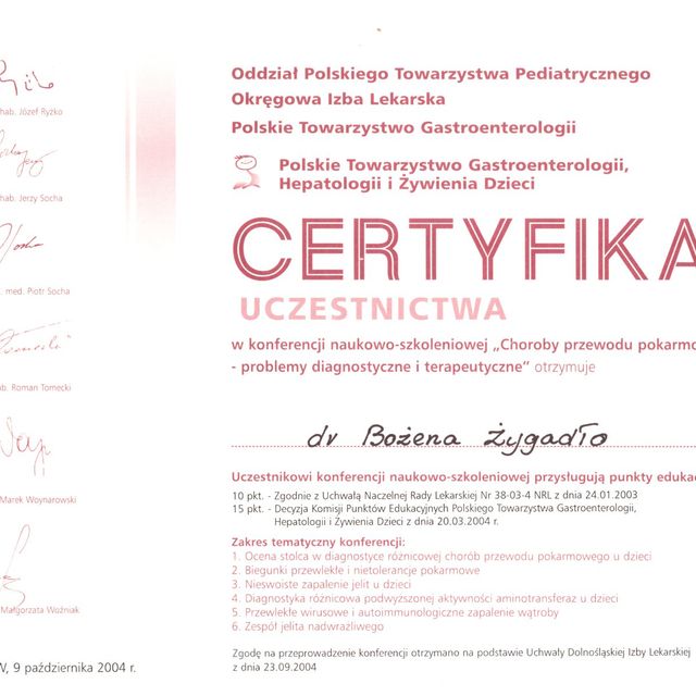 Powiększ obraz: certificate 2