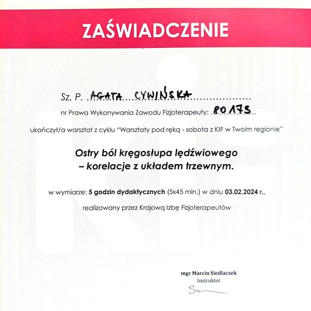 Powiększ obraz: certificate 9