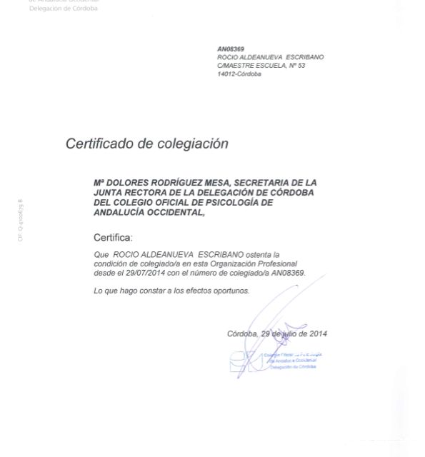 Acercar imagen: certificate 3