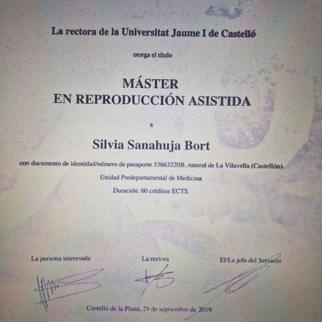 Acercar imagen: certificate 3