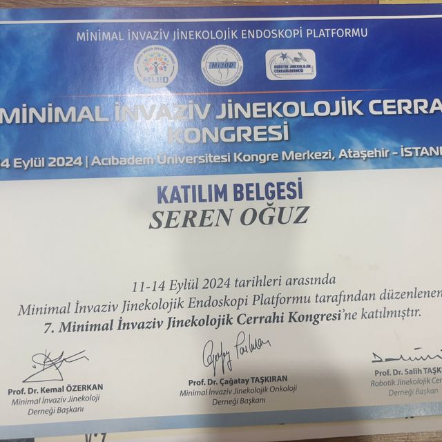 Resmi büyüt: certificate 6
