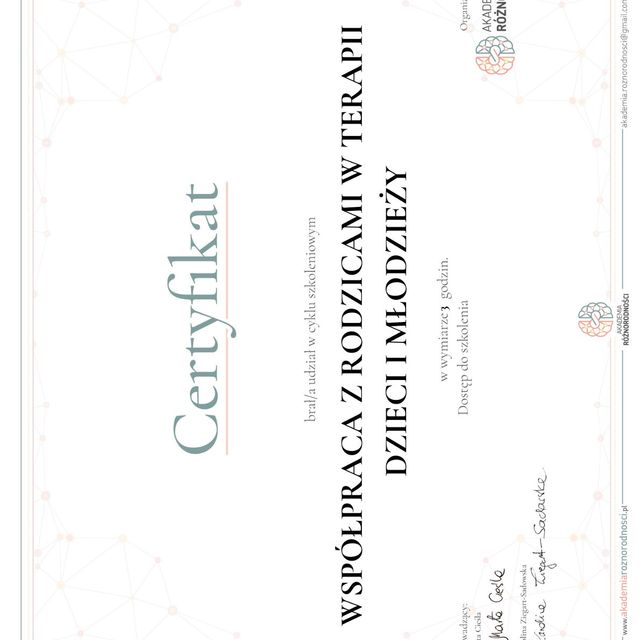 Powiększ obraz: certificate 11