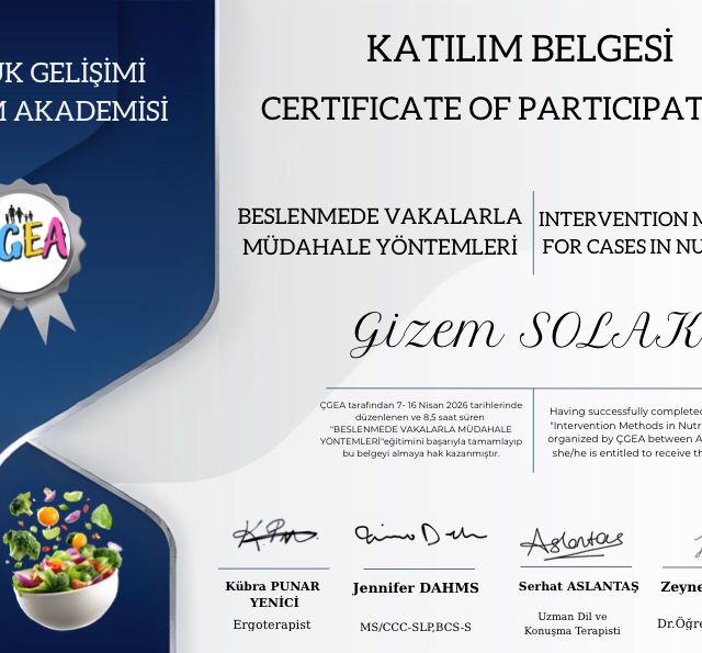 Resmi büyüt: certificate 4