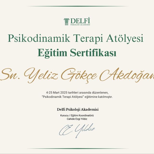 Resmi büyüt: certificate 2