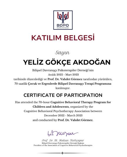 Resmi büyüt: certificate 6
