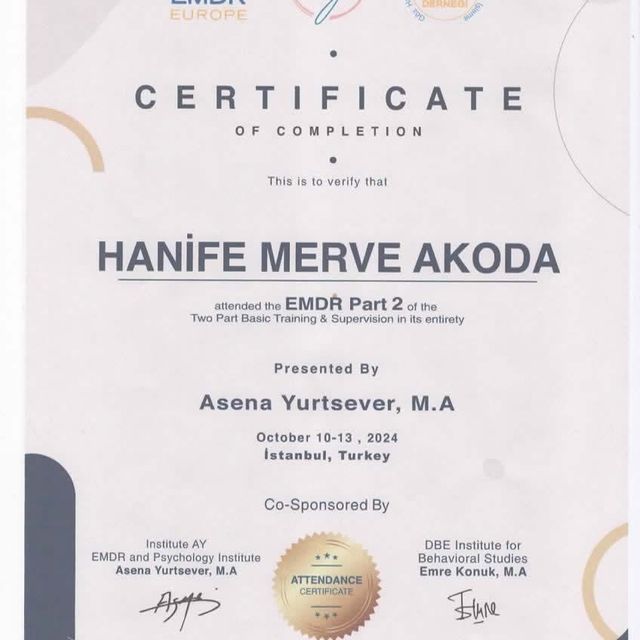 Resmi büyüt: certificate 22
